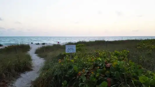 Casey Key Resort - Gulf Shores - 61