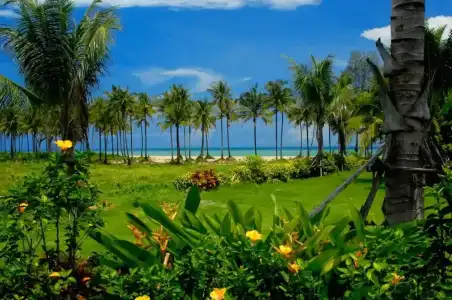 Andamania Beach Resort - 21