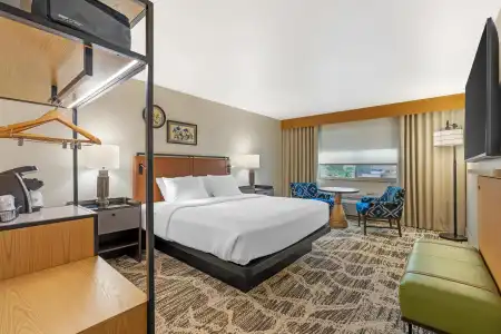 Best Western Plus GranTree Inn - 85