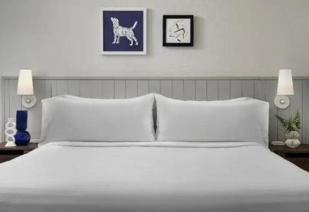 Sonesta ES Suites Sunnyvale - 51