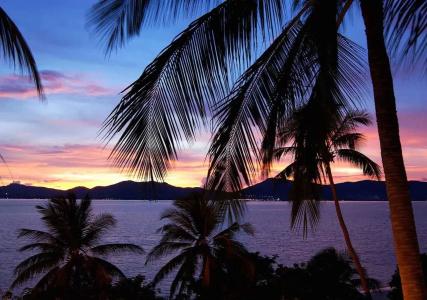 ibis Phuket Patong - 17