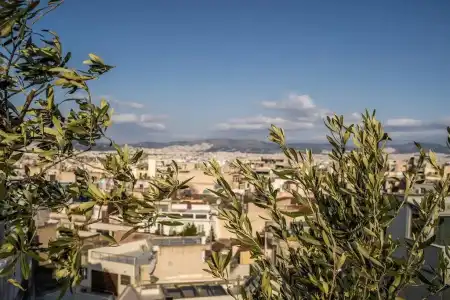 Urban Nest - Suites & Apartments - 17