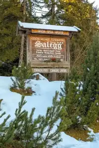 Salegg - 51