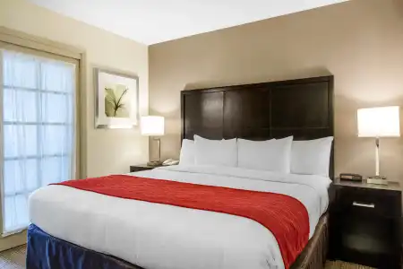 Best Western Inn & Suites San Diego – Zoo/SeaWorld Area - 6