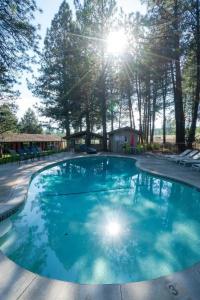 LOGE Bend - 12