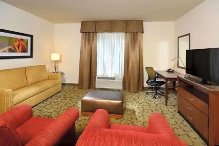 Hilton Garden Inn Greensboro Airport - 138