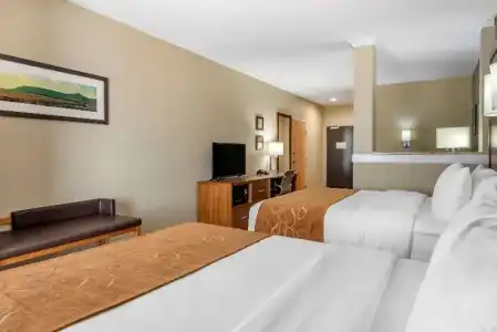 Comfort Suites University - 41