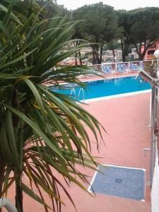 Residence I Morelli - 7