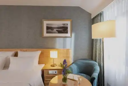 Maritim TitiseeTitisee-Neustadt - 58