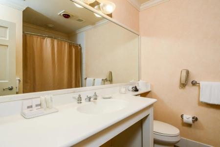 Stoweflake Mountain Resort & Spa - 5