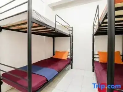 Arjuna 31 Homestay - 17