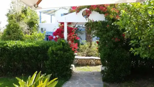 Panorama - 38