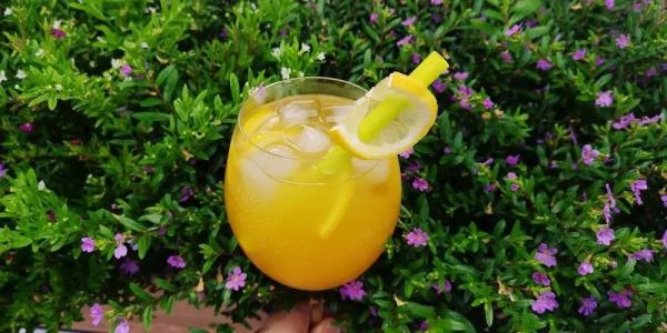 Restaurant Molitor - 21