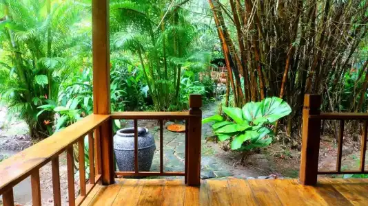 Freedomland Phu Quoc - 9
