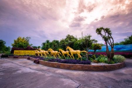 Thansila Resort Buriram - 11