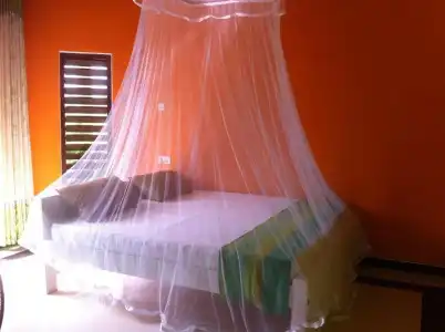 Bee Nest Bed & Breakfast - 25
