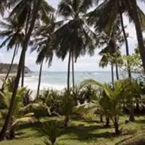 Palm Paradise Cabanas & Villas Beach Resort Tangalle - 12