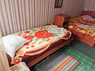 Petrovskaya Pristan 2 Guest House - 4