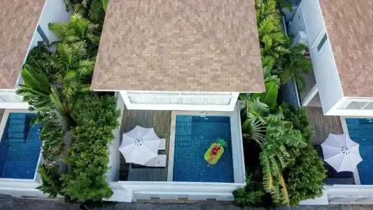 Samui Blue Orchid - 61