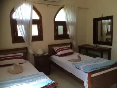 Nile Compound - 32