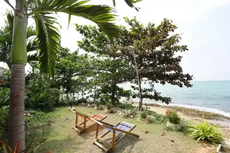 Pattaya Paradise Beach Resort - 184