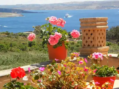 Mediterranea Seaviews Gozo - 16