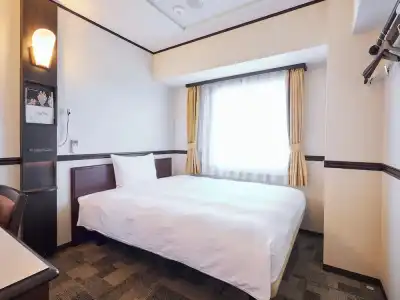 Toyoko Inn Tokyo Akiba Asakusabashi-Eki Higashi-Guchi - 17