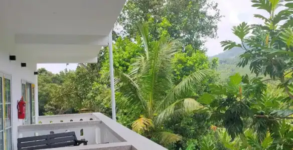 Mountain View - 53