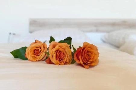 Pension Schöpke - 79