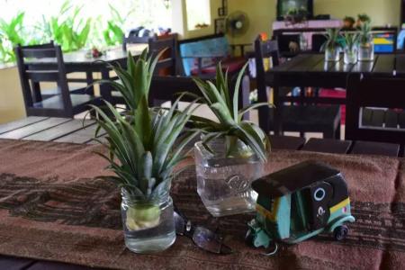 Manora Garden B & B - 28