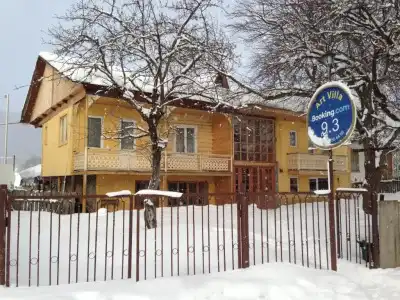 ArtVilla Bakuriani - 51