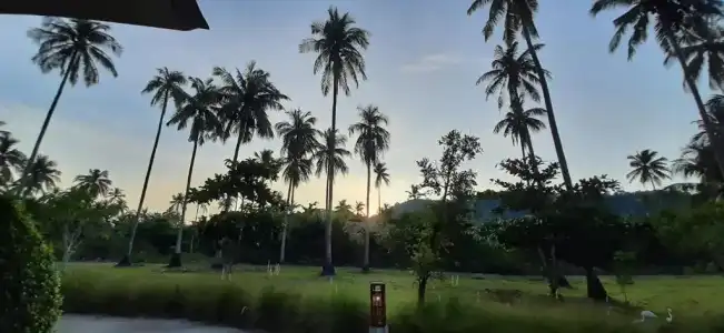 Koh Ngai Paradise Beach Resort - 45