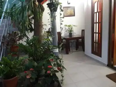 Aayu's Guest - 3