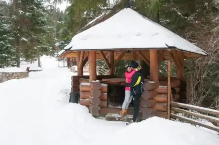 "Dykyi Med" - 24