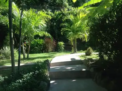 A Peace in Paradise - 43