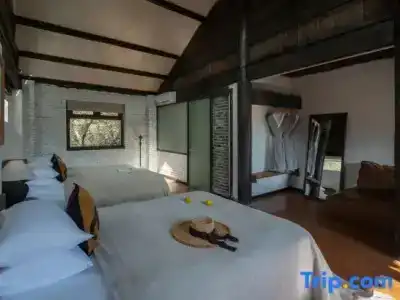 Adonis Inn Lijiang - 11