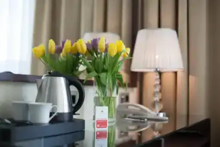 Ramada by Wyndham Kazan City Centre - 106