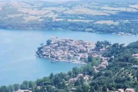 Massimino - 13