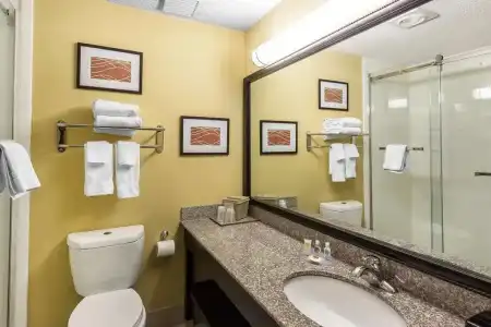 Comfort Inn Austin - 7