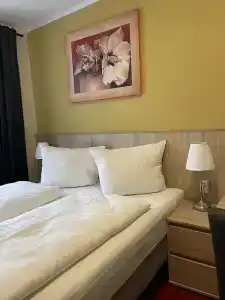 Palm Premium - 74