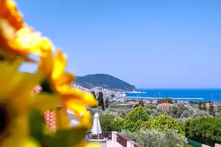 Skopelos Holidays & Spa - 177