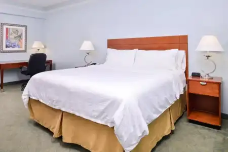 Holiday Inn Express Tampa N I-75 - University Area by IHG - 55
