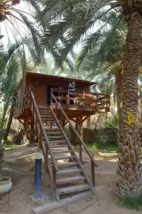 Diar Abou Habibi Tozeur - 22