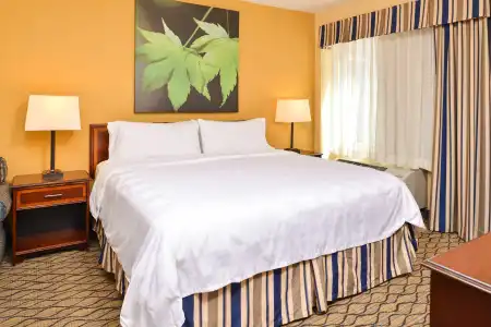 Holiday Inn & Suites Chicago - Downtown by IHG - 3