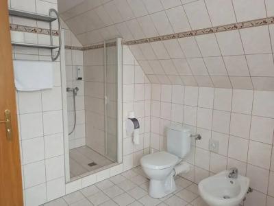 Schwarzes Ross & Restaurant Oberwiesenthal - 8