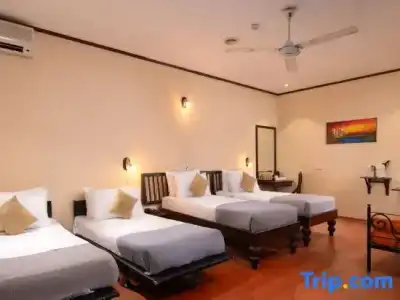 Ceylon City, Colombo - 52