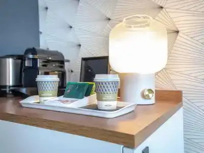 Mercure Hyeres Centre Côte d'Azur - 86