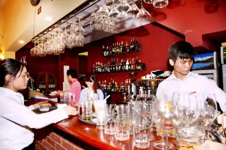 Le Gecko - 16