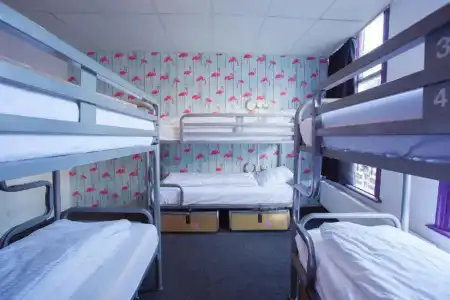 The Flying Pig Downtown Youth Hostel - 54