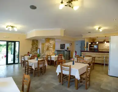 Vergina Star - 16